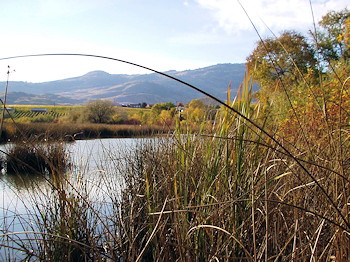 “Wetlands” Haynes Point, Osoyoos, BC