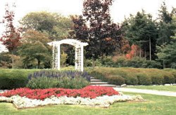 Minoru Park in Richmond, BC