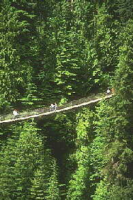 Capilano Suspension Bridge